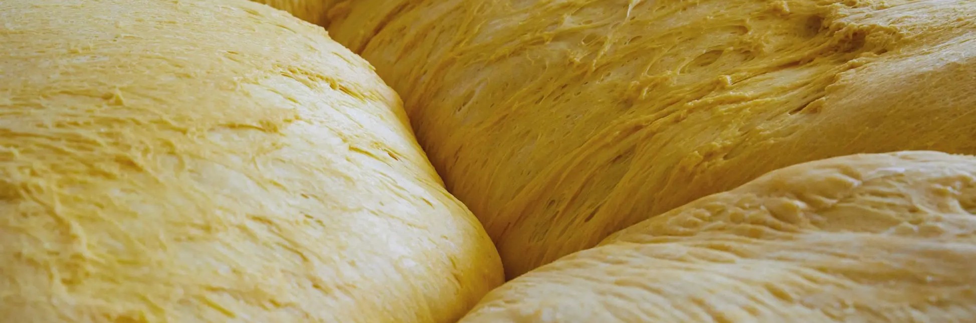 Artigiani del gusto